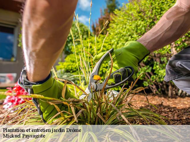 Plantation et entretien jardin 26 Drôme  Mickael Paysagiste