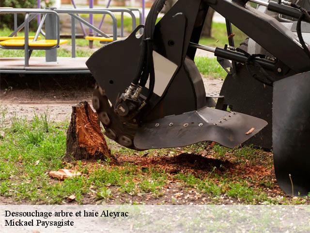 Dessouchage arbre et haie  aleyrac-26770 Mickael Paysagiste
