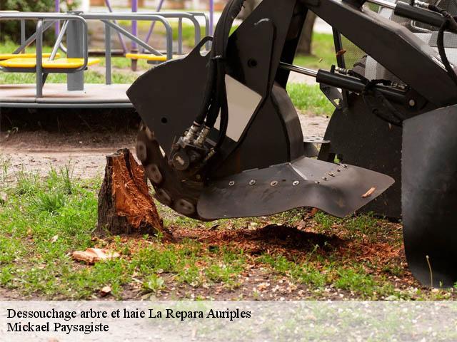 Dessouchage arbre et haie  la-repara-auriples-26400 Mickael Paysagiste