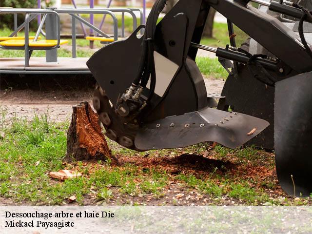 Dessouchage arbre et haie  die-26150 Mickael Paysagiste