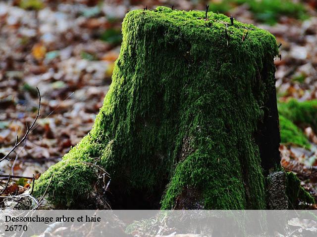 Dessouchage arbre et haie 26770