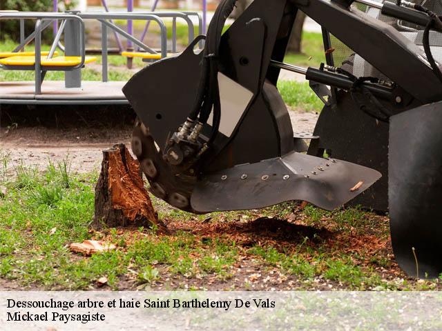 Dessouchage arbre et haie saint-barthelemy-de-vals-26240 Mickael Paysagiste