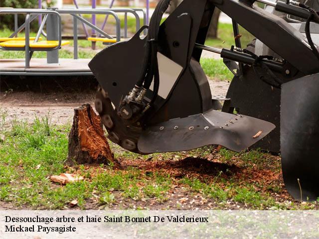 Dessouchage arbre et haie  saint-bonnet-de-valclerieux-26350 Mickael Paysagiste