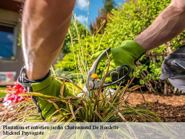 Plantation et entretien jardin  chateauneuf-de-bordette-26110 Mickael Paysagiste
