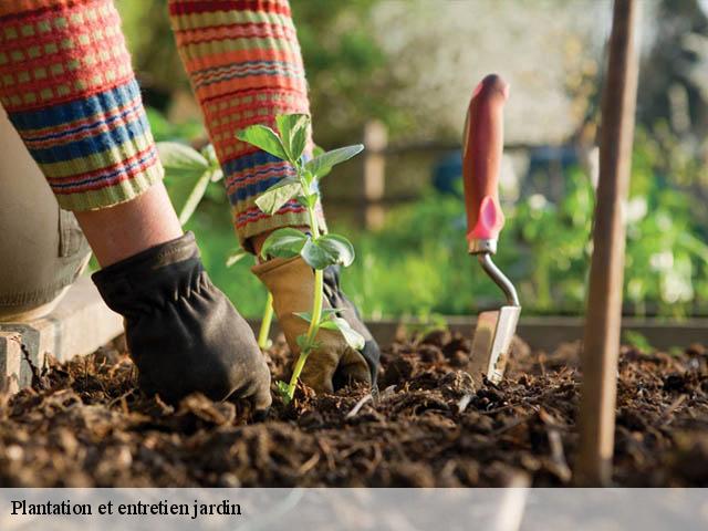 Plantation et entretien jardin