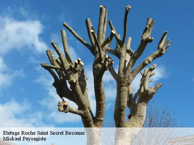 Etetage  roche-saint-secret-beconne-26770 Mickael Paysagiste
