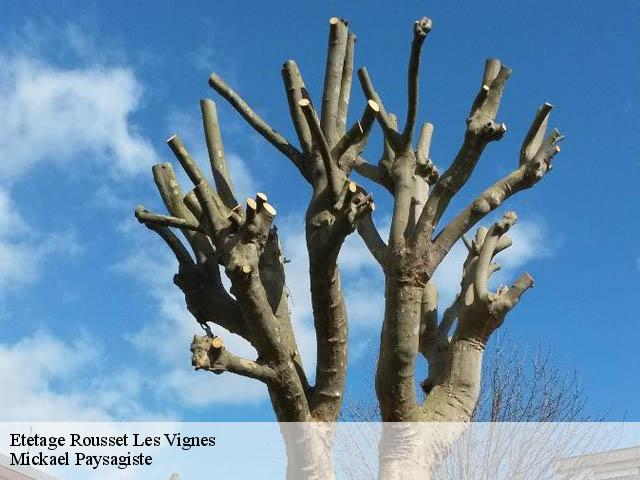 Etetage rousset-les-vignes-26770 Mickael Paysagiste
