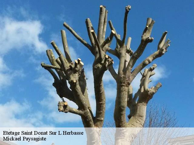 Etetage saint-donat-sur-l-herbasse-26260 Mickael Paysagiste