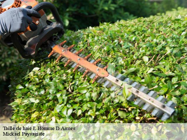 Taille de haie  l-homme-d-armes-26740 Mickael Paysagiste