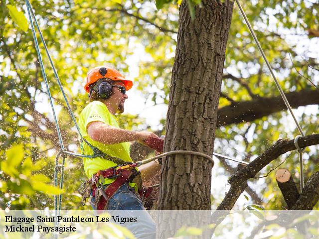 Elagage saint-pantaleon-les-vignes-26770 Mickael Paysagiste
