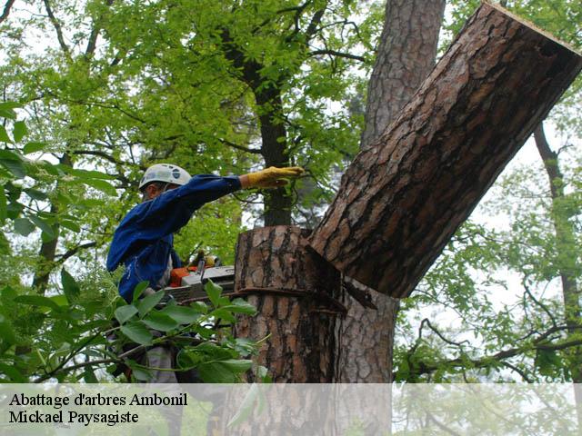 Abattage d'arbres  ambonil-26800 Mickael Paysagiste