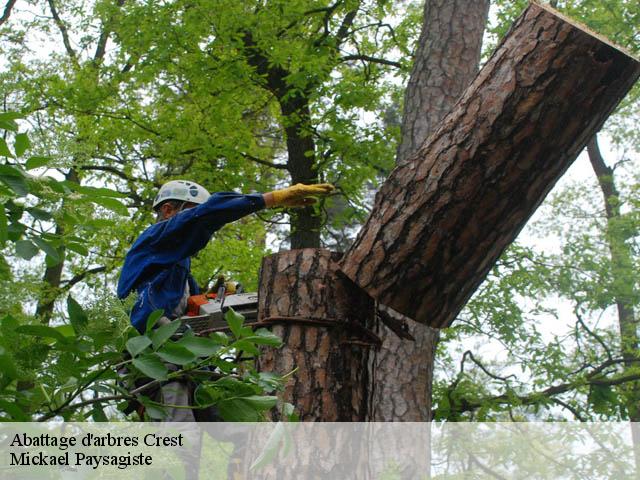 Abattage d'arbres crest-26400 Mickael Paysagiste