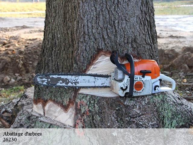 Abattage d'arbres 26230
