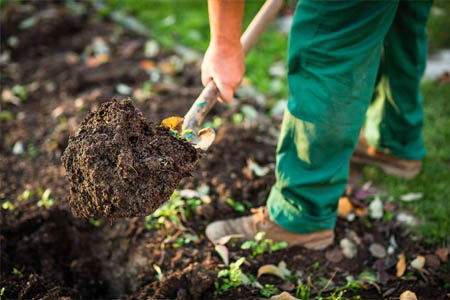 Entretien de jardin 26 Drôme